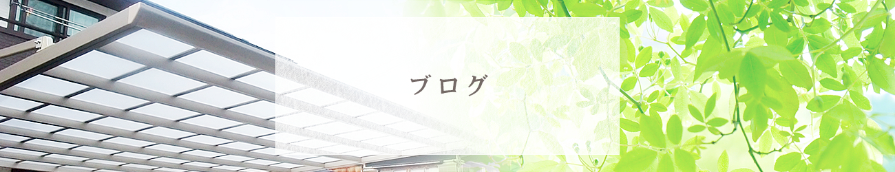ブログ